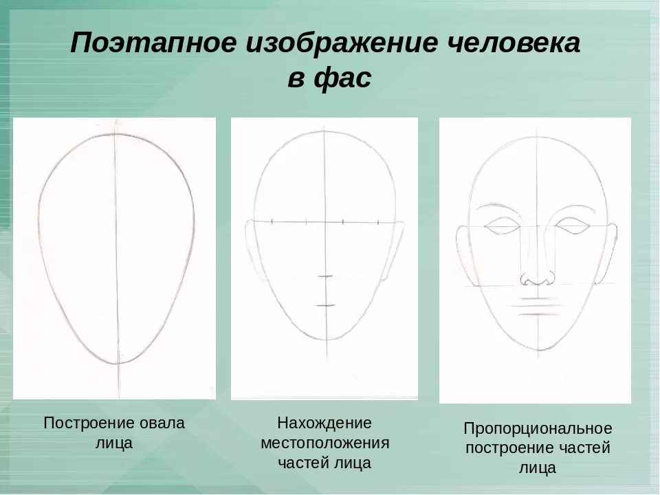 Поэтапное рисование портрета 3 класс презентация. Последовательность рисования портрета. Пошаговое рисование портрета. Схема поэтапного рисования портрета. Схема лица человека для рисования.