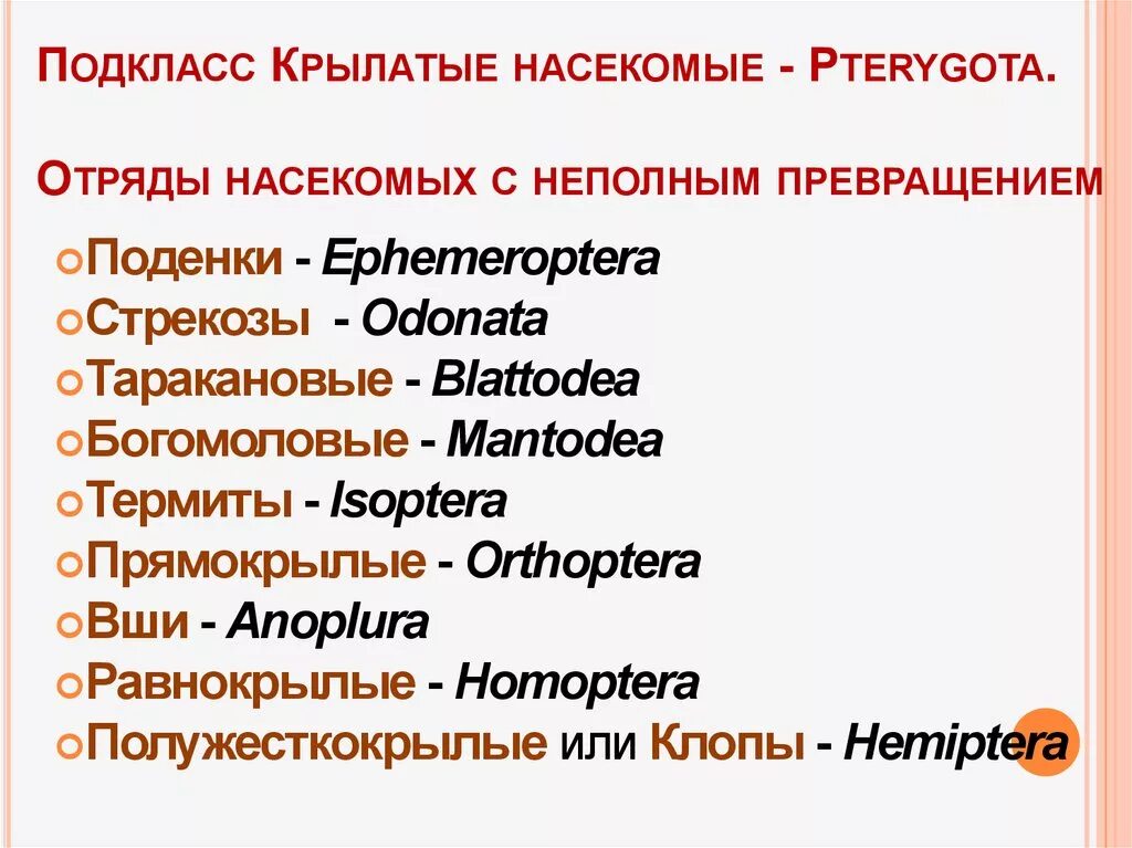 Систематика грызунов схема. Сернистая кислота на латинском. Систематика на латыни. Представители чешуйчатых рептилий. Систематика таксонов человека.