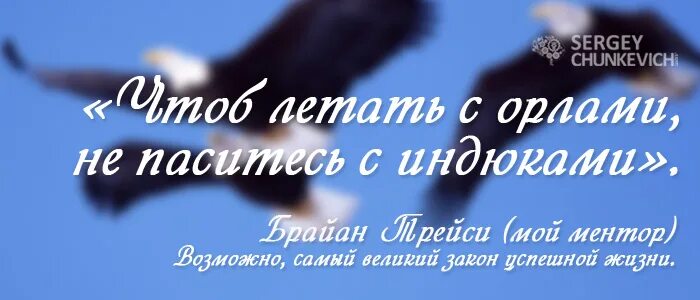 Людям всегда хотелось летать впр. Если хотите летать с орлами не паситесь с индюками. Чтоб летать с орлами не паситесь с индюками Брайан Трейси. Хочешь летать с орлами не паситесь. Хочешь летать с орлами.