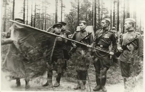 Стрелковая дивизия 1941 г