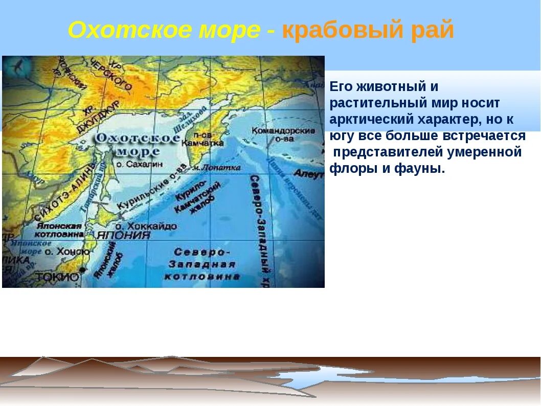 К каким морям относится охотское море. Морские пути Охотского моря. Акватория Охотского моря. Охотское море описание. Глубина Охотского моря.