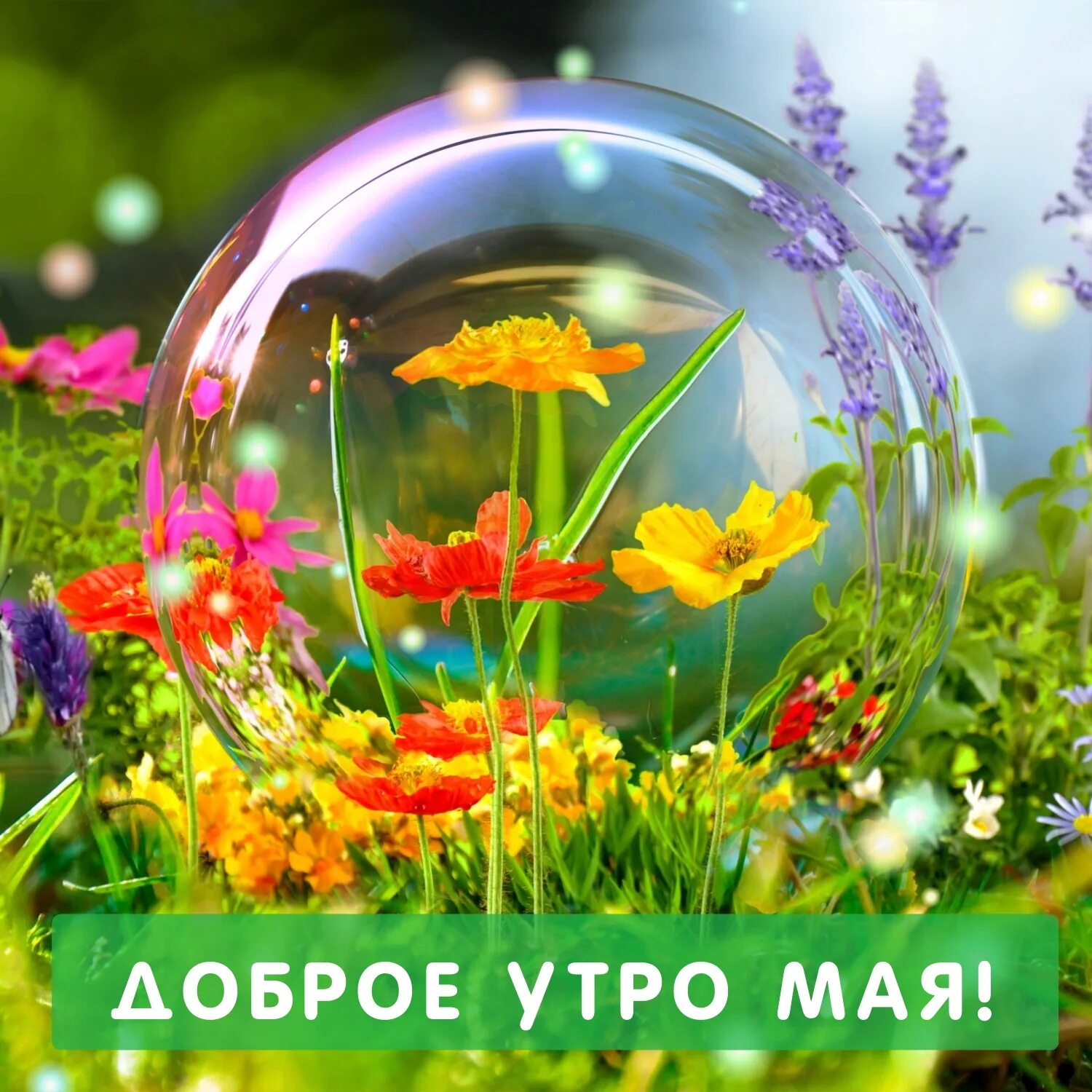 Доброго дня картинки и хорошего настроения природа. Удачного дня природа. прекрасного летнего утра и хорошего дня. доброе летнее солнечное утро. доброе утро солнечного дня.