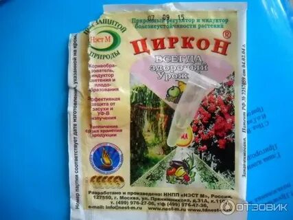 Нэст м циркон отзывы
