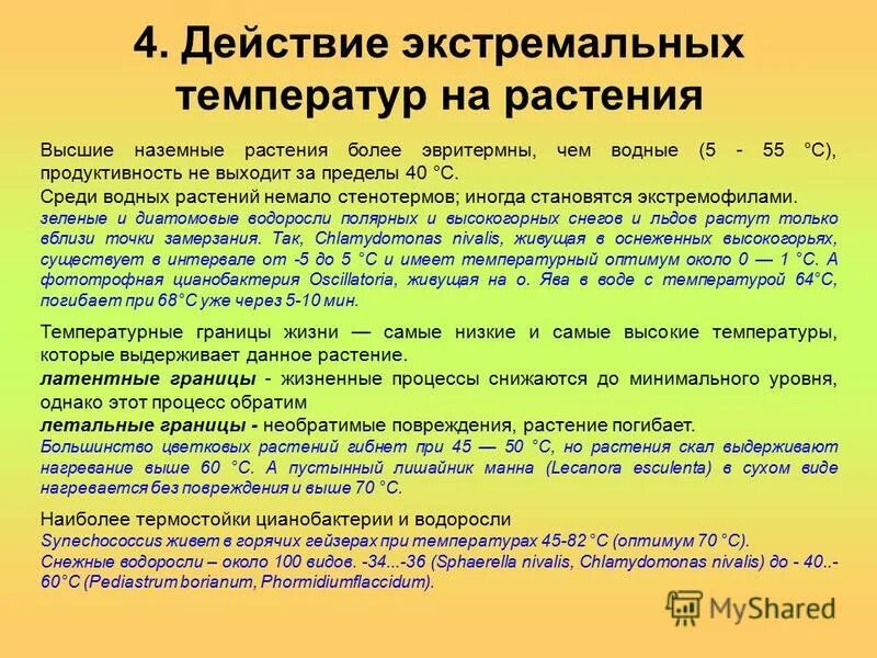 Действие экстремальных температур на растения. Водоросли живущие в экстремальных условиях. Низкие температуры для растений. Водоросли живущие в экстремальных условиях при низкой температуре.