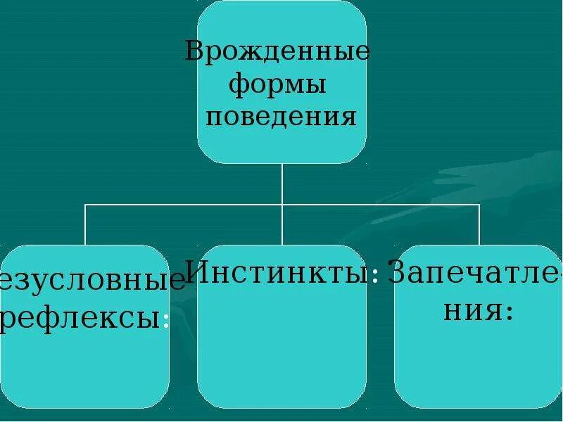 Врожденные формы безусловные рефлексы и инстинкты поведения