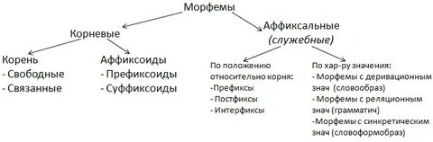 Виды морфем в русском языке
