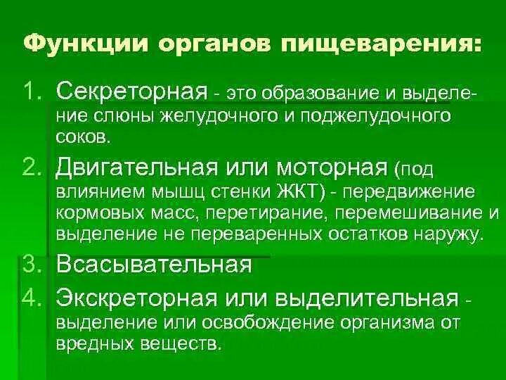 Функции органов пищеварения. Функции органов пищева. Функции отделов пищеварительной системы. Секреторная функция пищеварительной системы.