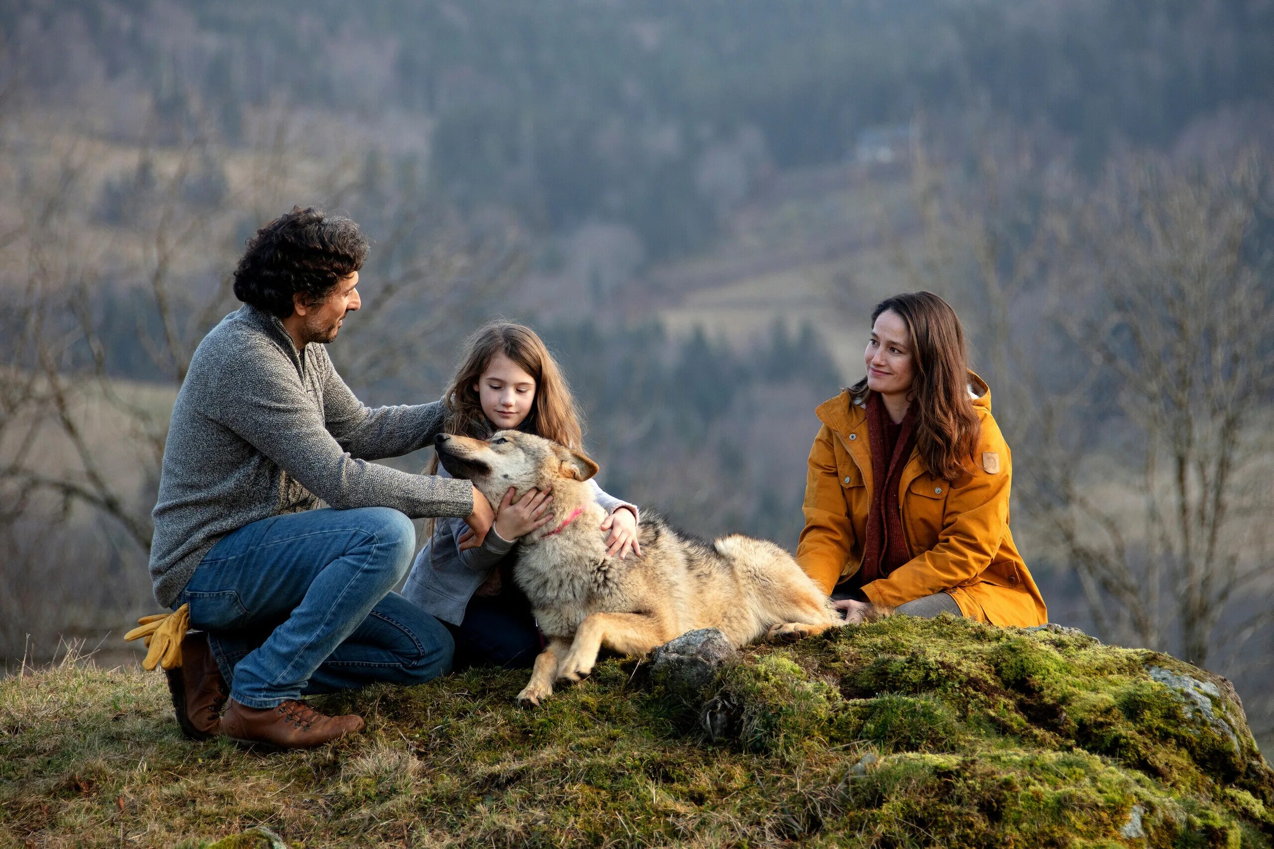 Мой волк 2022. Мой волк фильм 2022. Жизнь с волками фильм 2005. Мой волк фильм. Мой волк 2022.
