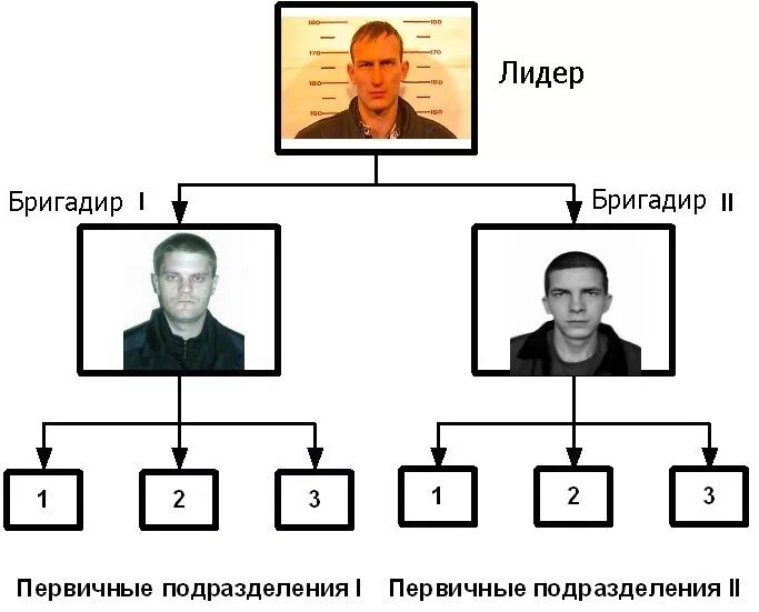 Структура ОПГ индейцы Новокуйбышевск. Схема ОПГ индейцы Новокуйбышевск. Структура Ореховской ОПГ. Структура ОПГ схема. Что делает опг