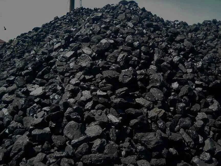 Каменные угли кузнецкого бассейна