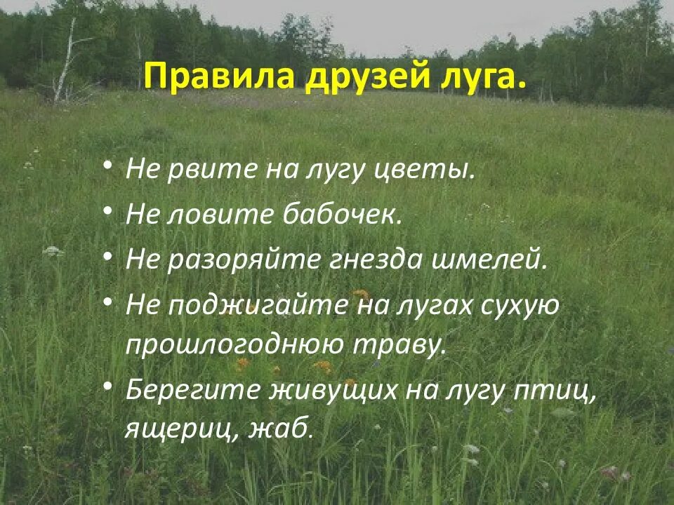 Луга в каком знаке. Жизнь луга. презентация на тему жизнь луга. природное сообщество луг презентация. охрана природного сообщества луг.