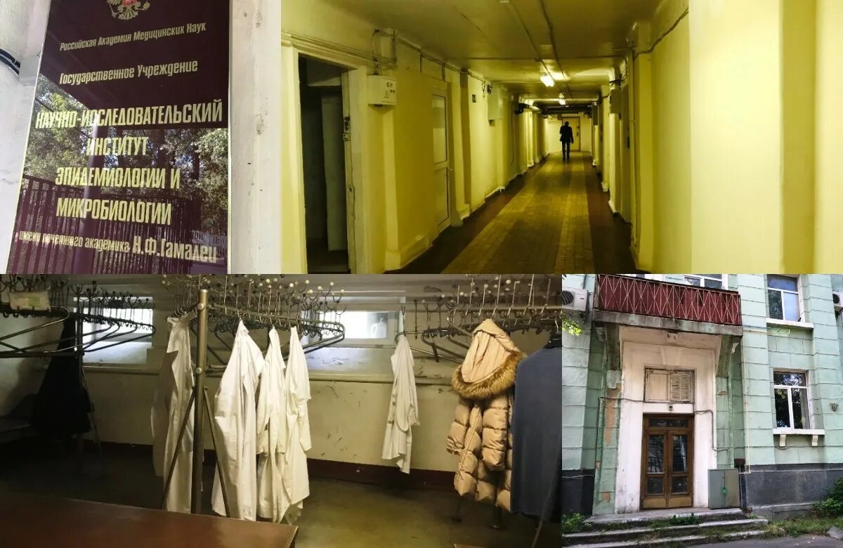 нии им гамалеи. ф. центр имени гамалеи. центр имени гамалеи. гамалеи.