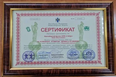 Выдано новосибирск