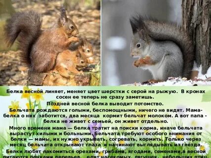 Меняют ли цвет белки
