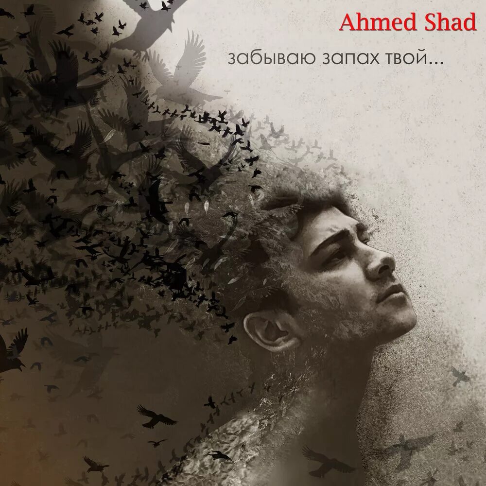 Песня ты воняешь. Забываю запах твой Ахмед. Твой запах. Забываю запах твой Ahmed Shad текст. Забываю rafy.