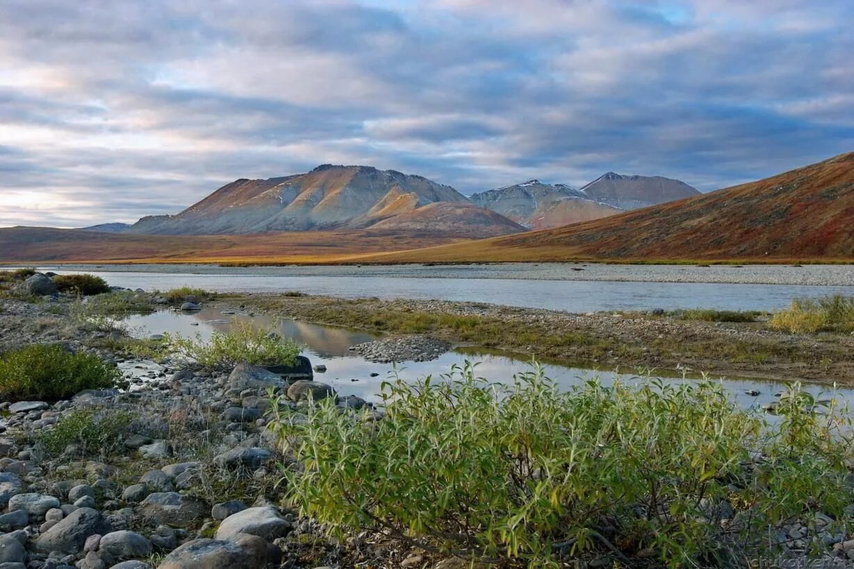 чукотка видео. «бухта провидения» (чукотский автономный округ)»;. чукотский автономный округ анадырь. сибирь чукотка. чукотка видео.