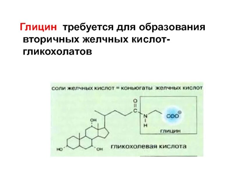 Первичные и вторичные желчные кислоты. Первичные и вторичные желчные кислоты биохимия. Формулы парных желчных кислот. Образование вторичных желчных кислот. Вторичные желчные кислоты