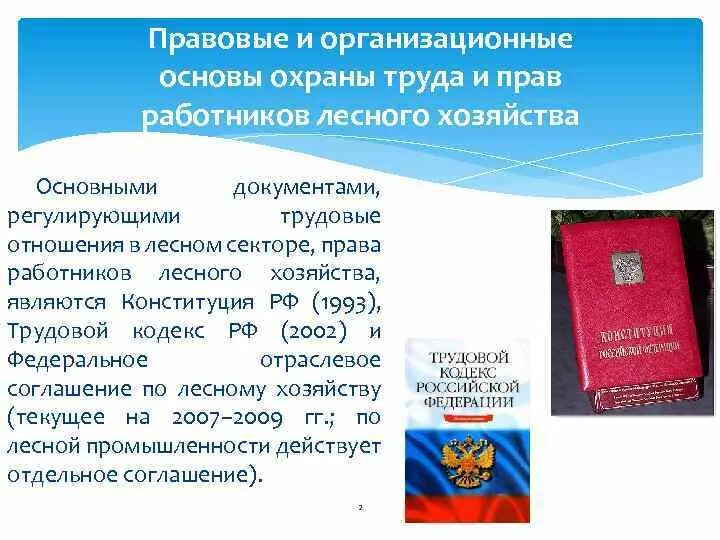 Трудовое право основной документ. Организационные основы охраны труда. Правовые и организационные основы охраны труда. Документы регулирующие трудовые правоотношения. Организационная основа охраны.