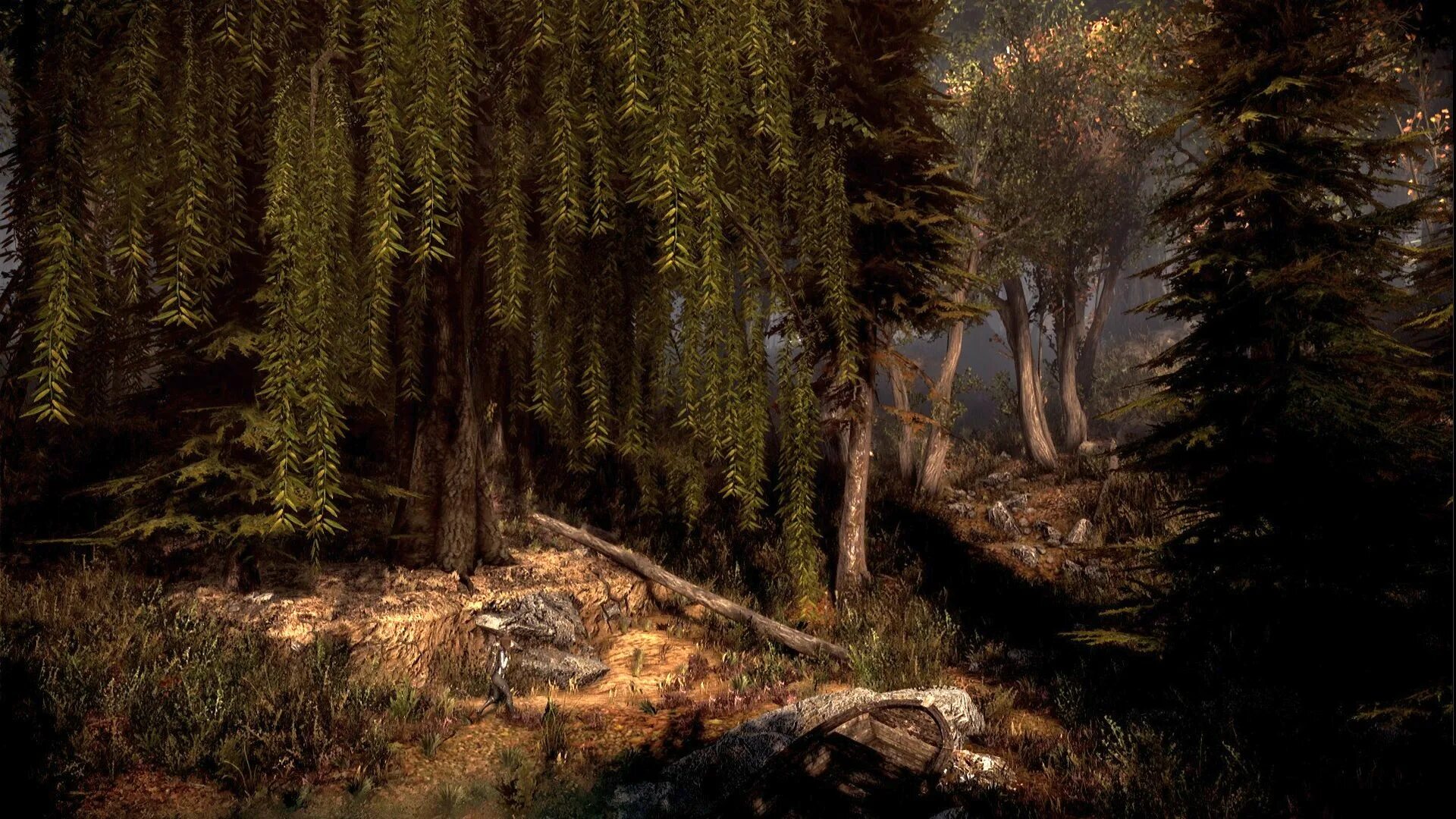 Непроходимый лес 4. Лес fallout 4. заросший лес. дремучие заросли. дебри деревьев.