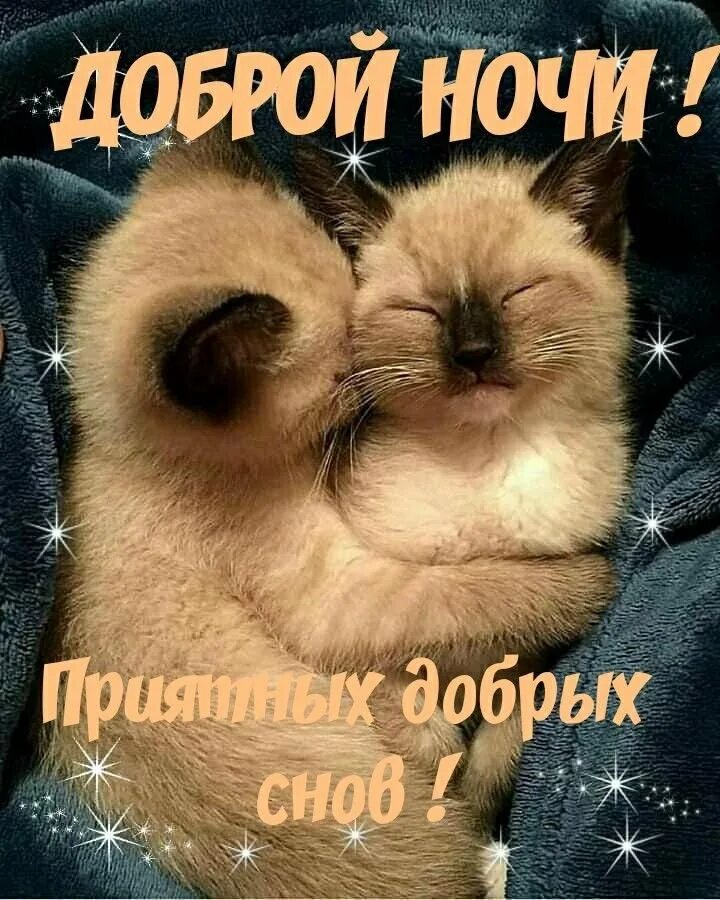 Пожелание спок