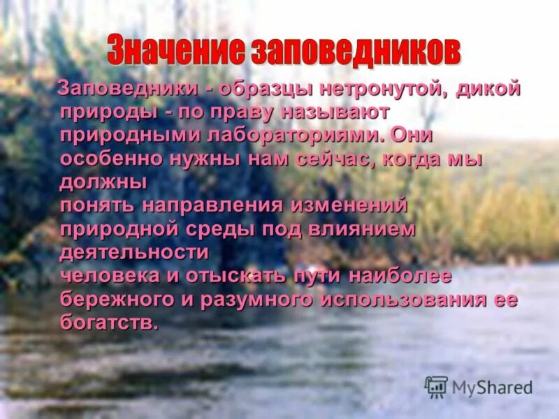 Заповедники презентация. Заповедник определение кратко. Заповедник это определение для детей. Заповедники значение для природы. Важность заповедников.