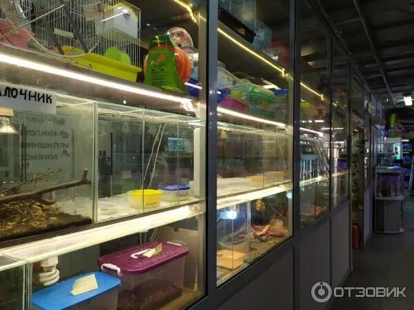 Рынок на кондратьевском проспекте. Птичий рынок на кондратьевском. Рынок на кондратьевском проспекте. Кондратьевский рынок в петербурге. Кондратьевский рынок в санкт-петербурге.