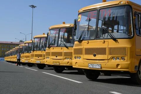 11 школьных автобусов