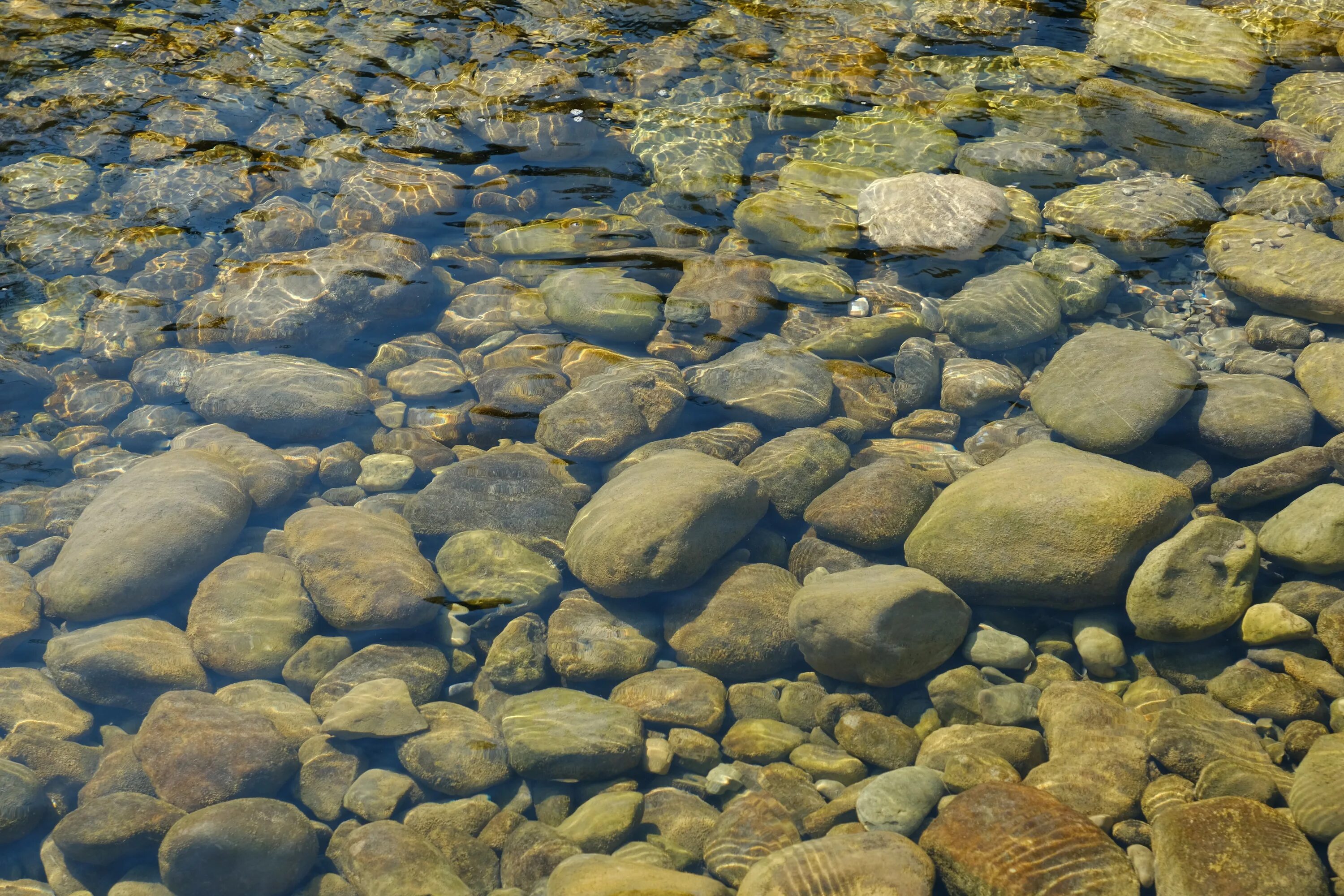 Самоцветы вода. Речное дно. Дно пруда. Прозрачная вода. Дно водоема.