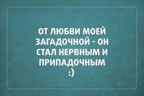 Прикольные высказывания про любовь - 📝 Афоризмо.ru