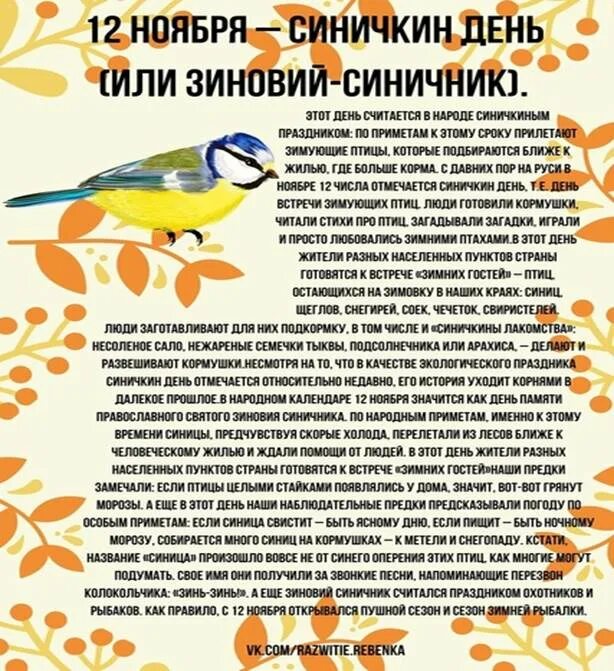 Конкурс детского творчества синичкин день. Консультация для родителей синичкин день. Спортивное развлечение синичкин день. Птицы для детей. Спортивное развлечение синичкин день.