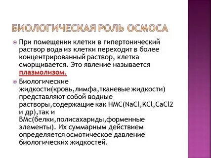 Биологическая роль осмоса