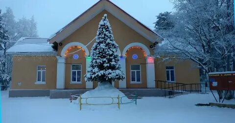 Полярные зори дк