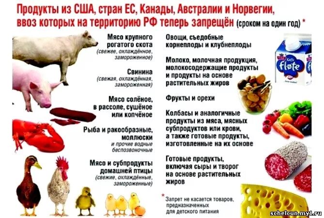 Запрет на ввоз молочной продукции. Запрещенные продукты к ввозу в Россию. Запрещенные к ввозу товары в РФ. Запрещённые продукты для ввоза в РФ. Список товаров запрещенных продуктов из России.