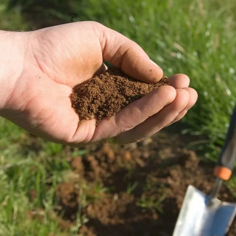 Какая почва на даче. Почва. Кислая почва. Закисленность почвы. Дренированная почва.