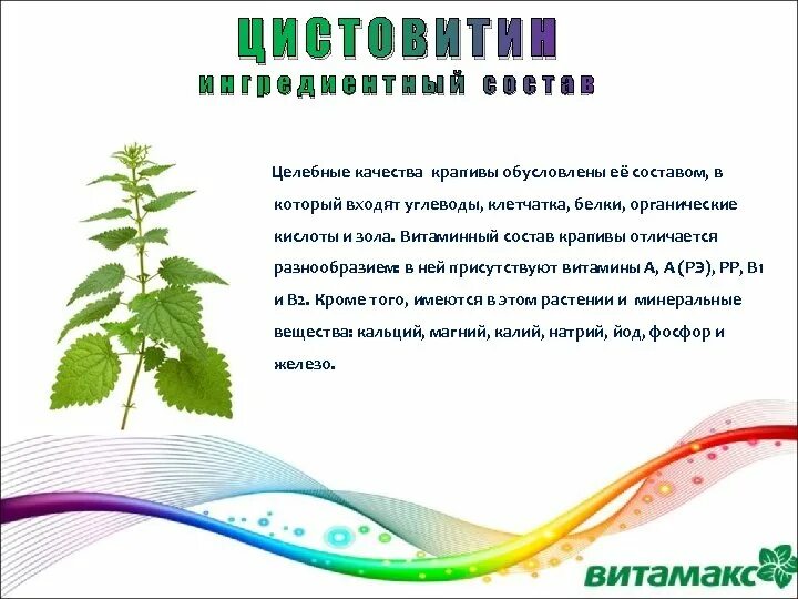 Витамины в крапиве