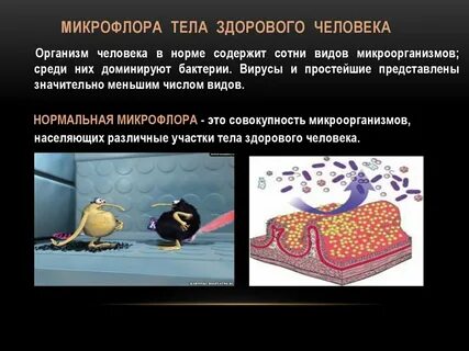 Микрофлора органов