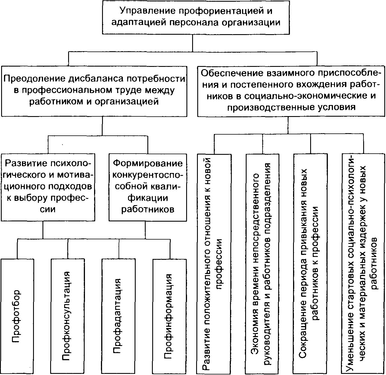 Организация управления адаптацией