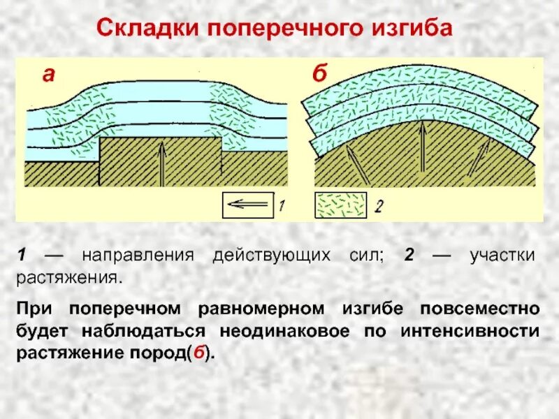 Складки и их элементы Геология. Поперечный изгиб. Участок поперечного изгиба. Складки породы Геология.