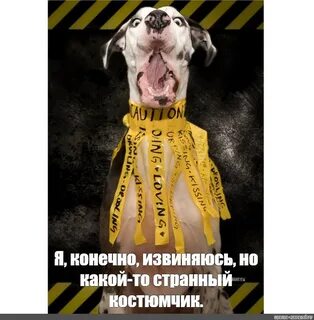 Извини конечно