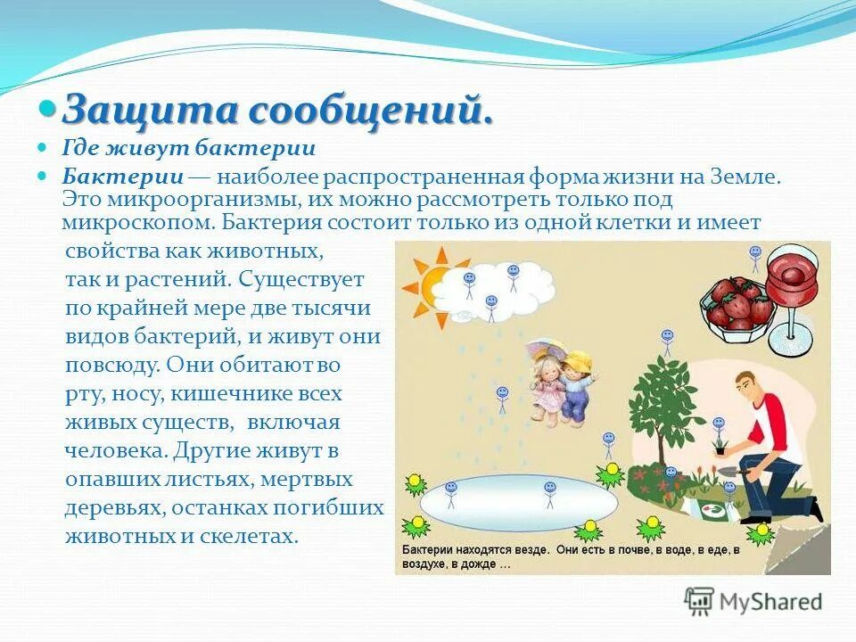 Переписка смайликами. Сообщение где много. Много мелкого текста. Много смайликов в сообщении. Смайлик поздравление с днем рождения.