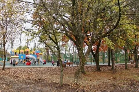 Краснодарские станицы отзывы