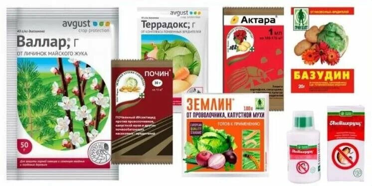 Средства от майского жука в земле личинок. От личинки майского жука препараты. средство от майского жука личинки в почве. отрава от личинок майского жука. препарат от личинок майского жука на огороде.
