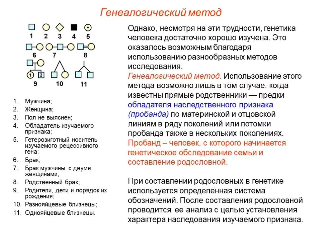 Генеалогический метод исследования используется. Генеалогический метод изучения наследственности человека. генеалогический метод изучения генетики человека. методика составления родословных и их анализ. метод родословных в генетике человека.