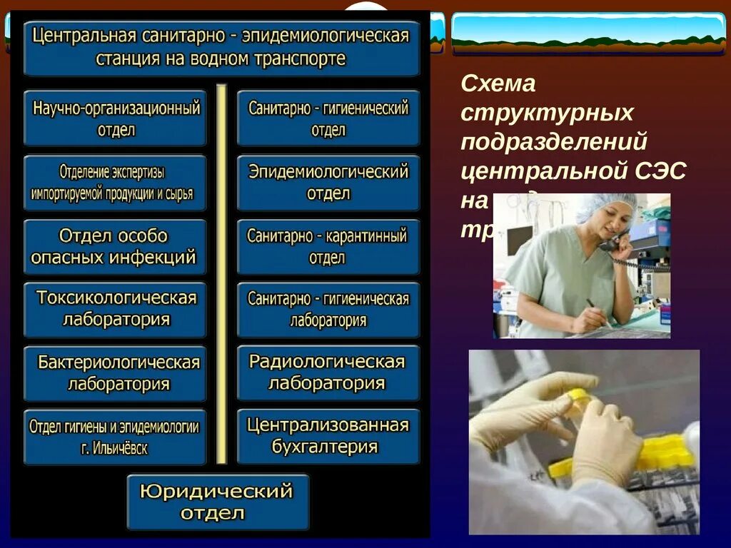 Организации санитарно эпидемиологической службы. Структурные подразделения санитарно-гигиенического отдела.. Техника санитарно-эпидемиологической службы. Центральная санитарная служба. Сан эпид станция Королев.