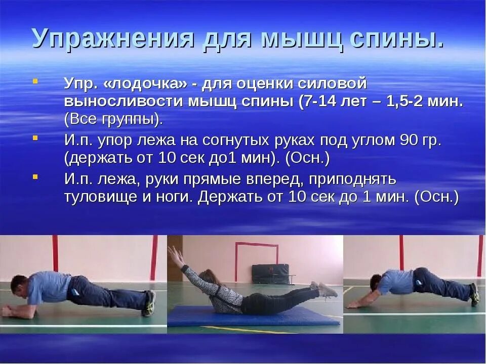 Упражнения направлены на развитие силы мышц. Силовая выносливость упражнения. упражнения для развития силы мышц. упражнения для развития гибкости и силы мышц. упражнения для развития силы спины.