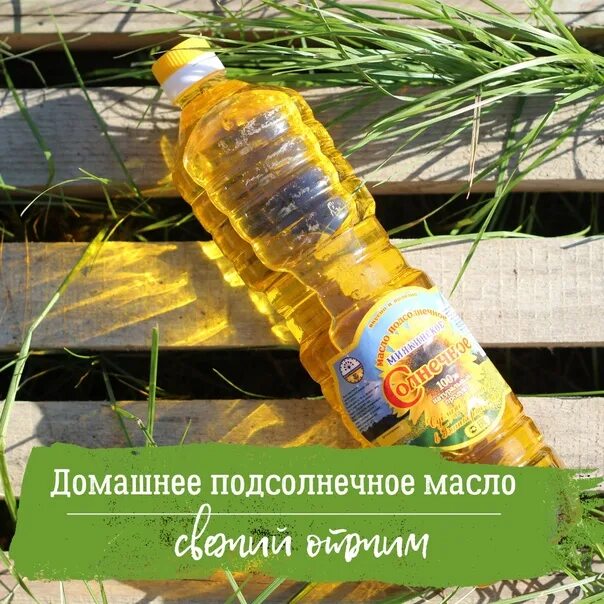 Как хранить домашнее растительное масло. Масло подсолнечное домашнее. как отжимают подсолнечное масло. масло подсолнечное какое лучше брать.
