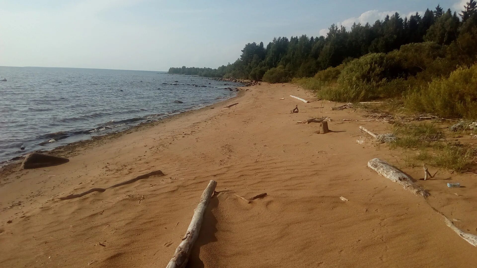 Рыбинские пляжи. Юршинский остров Рыбинск. Юршинский остров Рыбинское водохранилище. Рыбинское водохранилище пляж Коприно. Рыбинск Юршинский водохранилище.