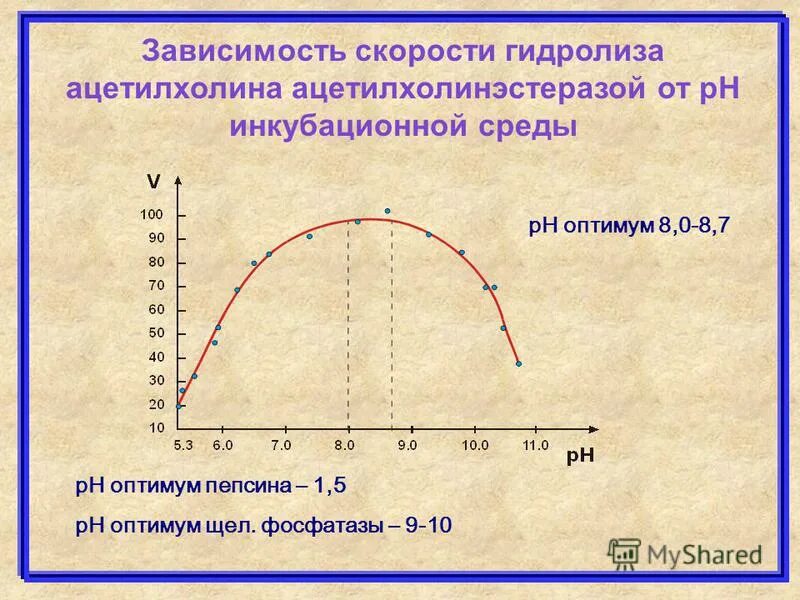 Изменение температуры ферментов