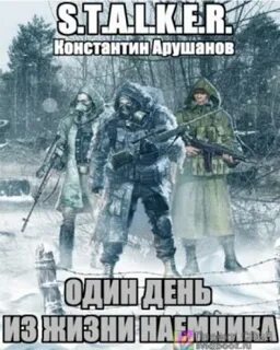 Слушать аудио книгу сталкер