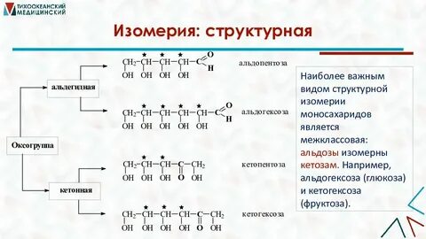 Липиды моносахариды растворимы в воде гидрофобны